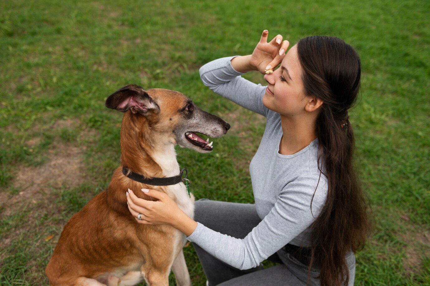 8 atferd hunden din gjør for å få oppmerksomheten din